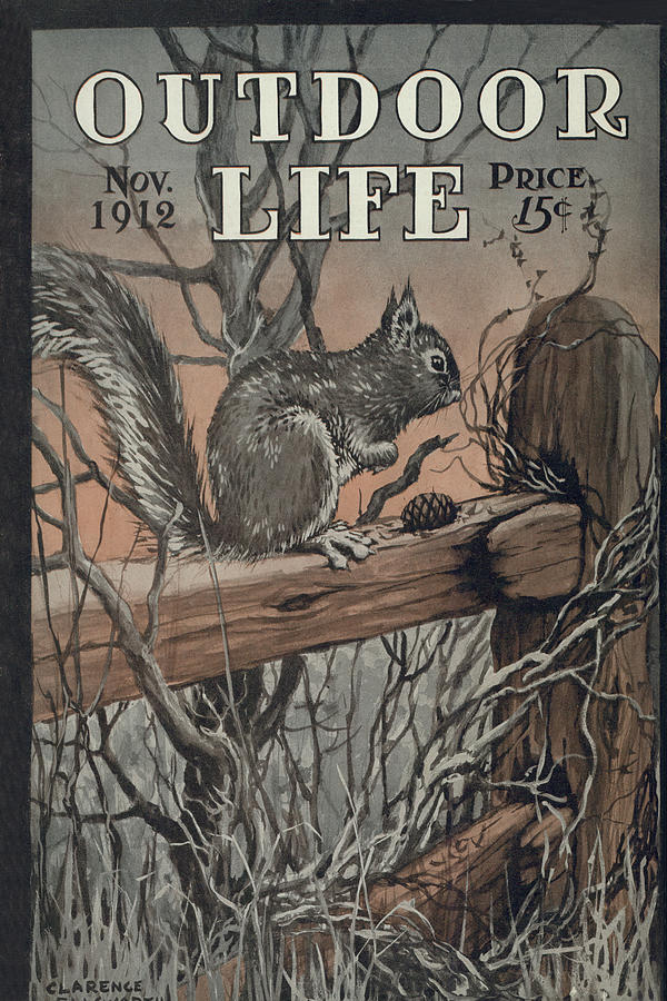 Fall Painting - Outdoor Life Magazine Cover November 1912 by Outdoor Life