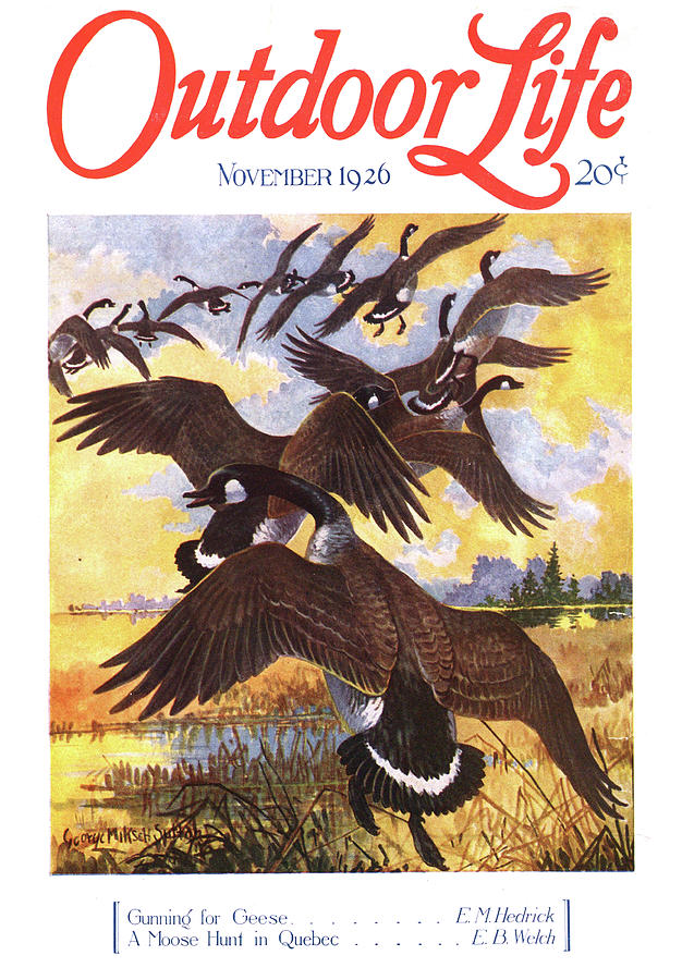 Geese Painting - Outdoor Life Magazine Cover November 1926 by Outdoor Life