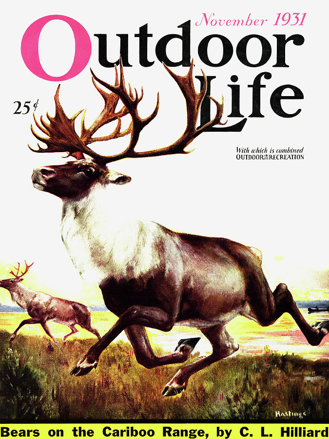 Fall Painting - Outdoor Life Magazine Cover November 1931 by Outdoor Life