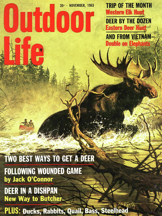 Deer Drawing - Outdoor Life Magazine Cover November 1963 by Outdoor Life