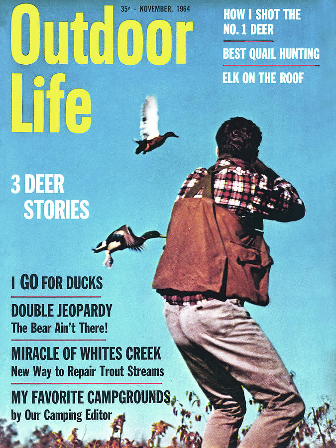 Mallard Photograph - Outdoor Life Magazine Cover November 1964 by Outdoor Life