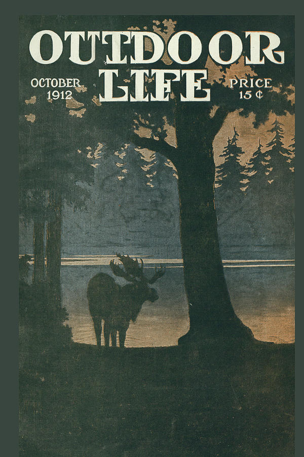 Outdoor Life Magazine Cover October 1912 Painting by Outdoor Life ...