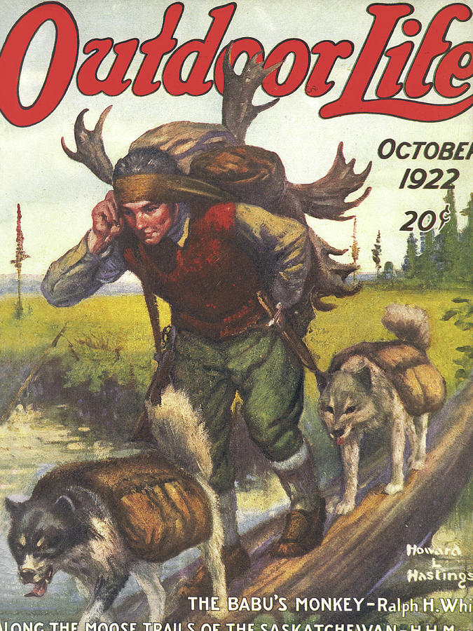 Dog Painting - Outdoor Life Magazine Cover October 1922 by Outdoor Life