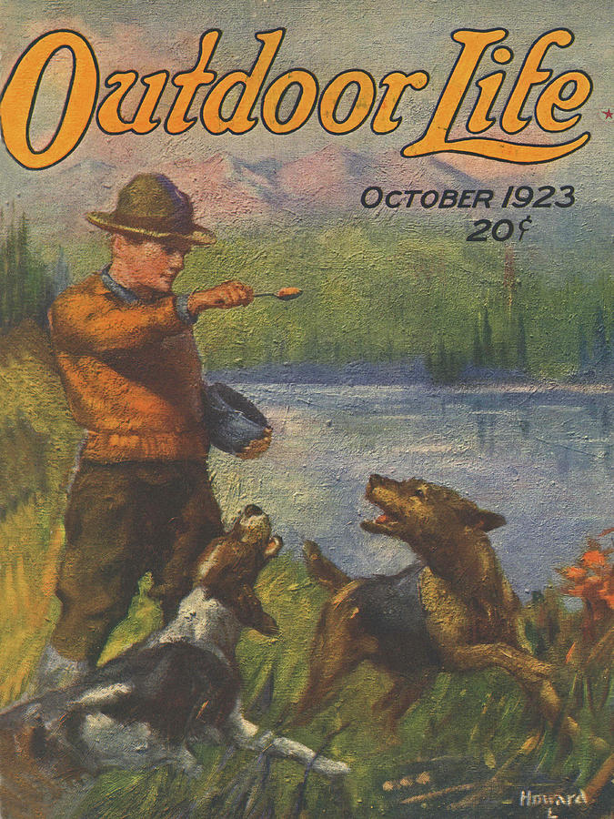 Outdoor Life Magazine Cover October 1923 Painting by Outdoor Life ...