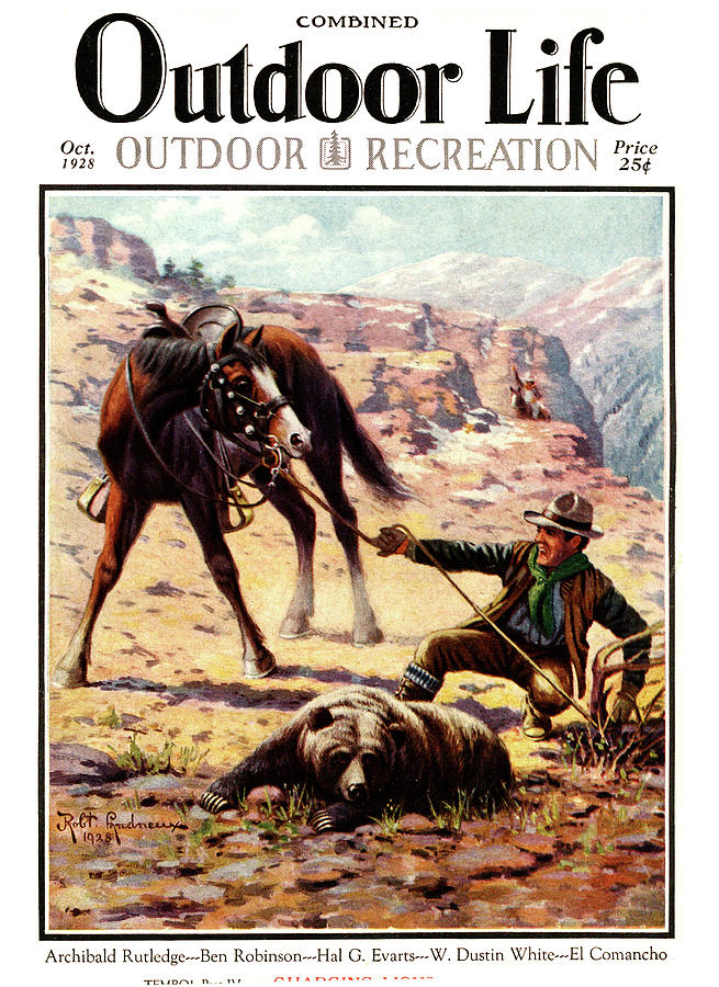 Outdoor Life Magazine Cover October 1928 Painting by Outdoor Life ...