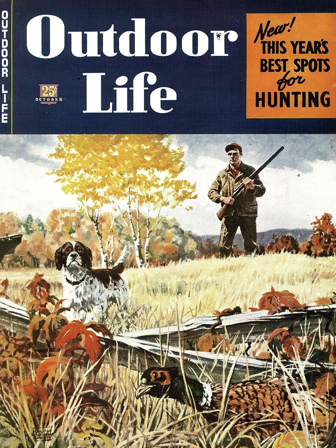 Pheasant Painting - Outdoor Life Magazine Cover October 1946 by Outdoor Life
