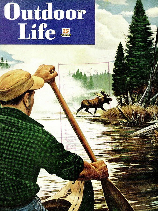 Moose Drawing - Outdoor Life Magazine Cover October 1948 by Outdoor Life