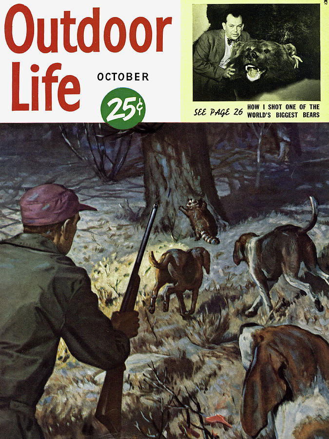 Dog Drawing - Outdoor Life Magazine Cover October 1950 by Outdoor Life