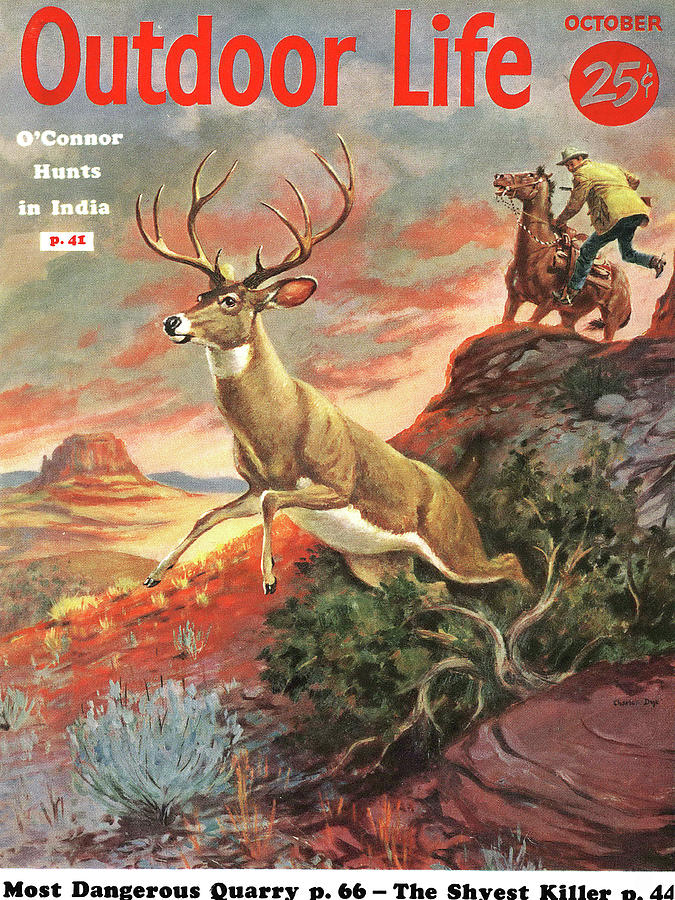 Deer Drawing - Outdoor Life Magazine Cover October 1955 by Outdoor Life
