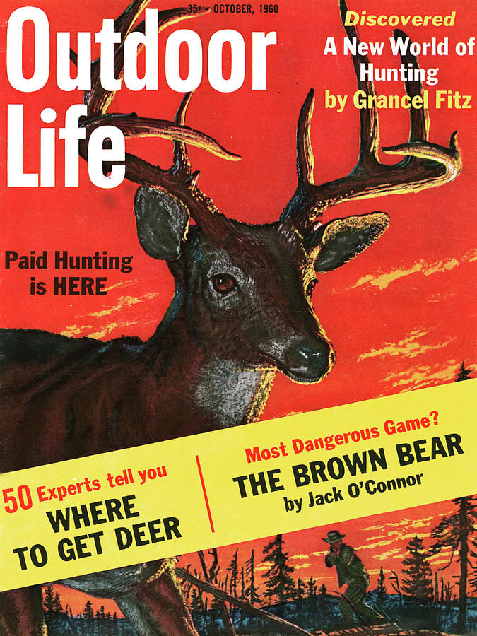 Deer Drawing - Outdoor Life Magazine Cover October 1960 by Outdoor Life