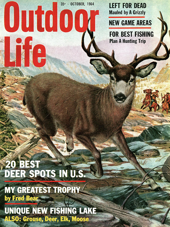 Deer Drawing - Outdoor Life Magazine Cover October 1964 by Outdoor Life