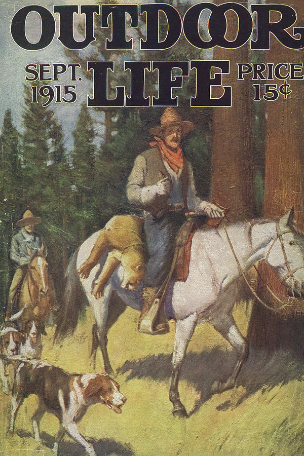 Dog Painting - Outdoor Life Magazine Cover September 1915 by Outdoor Life