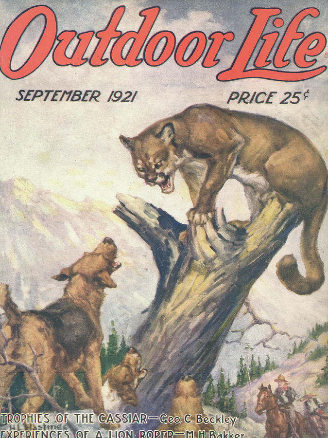 Horse Painting - Outdoor Life Magazine Cover September 1921 by Outdoor Life
