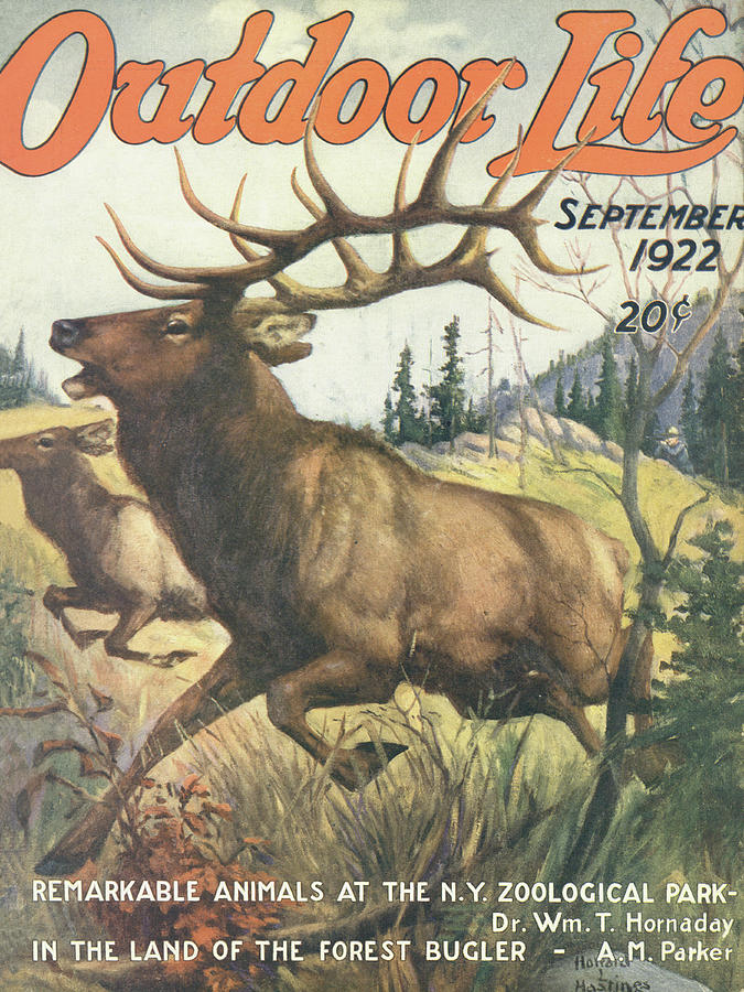 Outdoor Life Magazine Cover September 1922 Painting by Outdoor Life Outdoor Life Magazine Cover September 1922 Painting by Outdoor Life