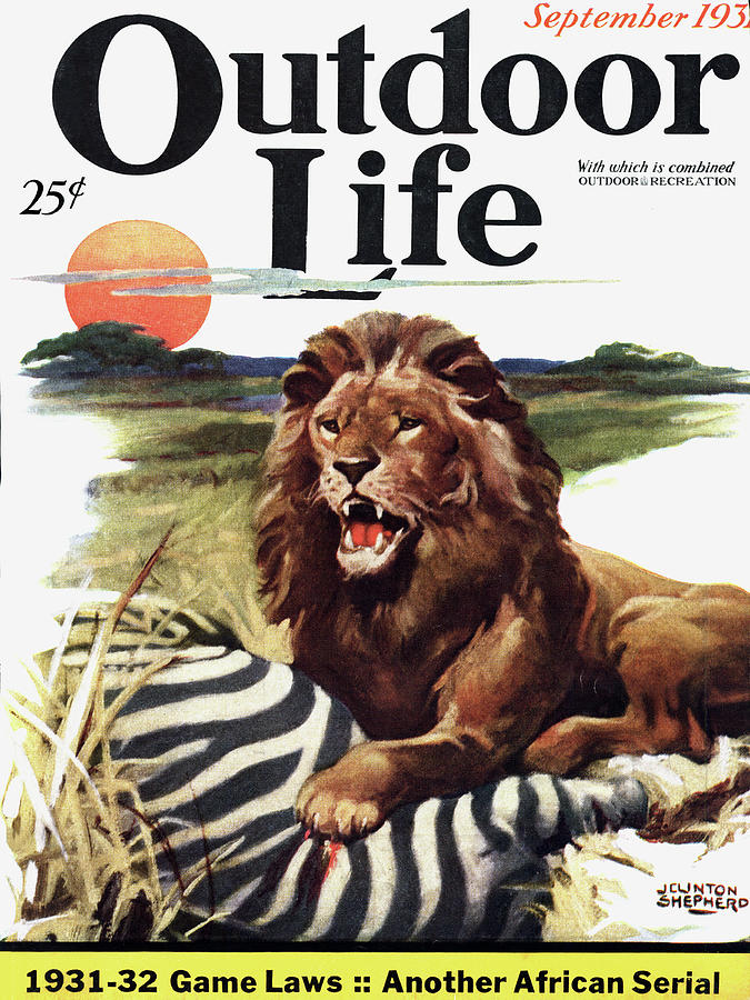 Fall Painting - Outdoor Life Magazine Cover September 1931 by Outdoor Life