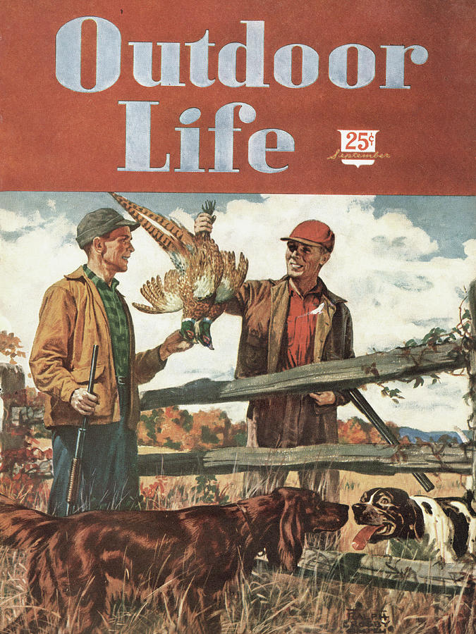 Pheasant Painting - Outdoor Life Magazine Cover September 1947 by Outdoor Life