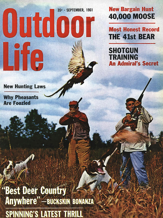 Pheasant Photograph - Outdoor Life Magazine Cover September 1961 by Outdoor Life