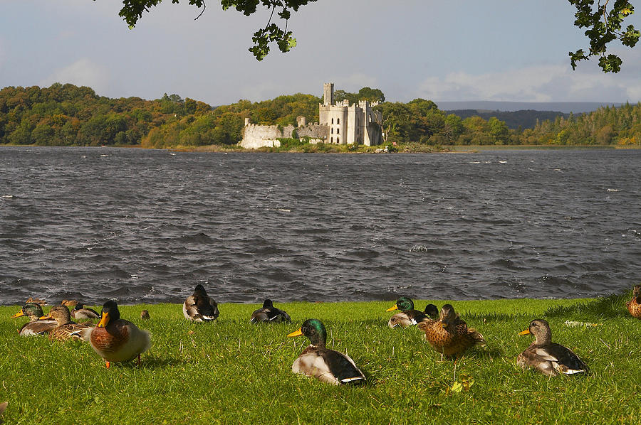 Architecture Photograph - Outdoor Photo, View From Lough Key Forest Park On Lough Key And Island With Ruin , County Roscommon, Ireland, Europe by Brigitte Merz