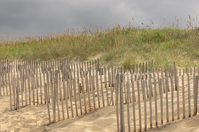 Outer Banks beach Photograph by Bill Shuman | Fine Art America