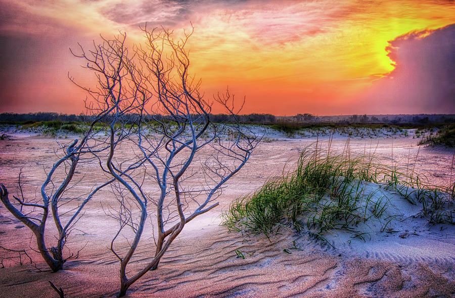 Outer Banks Hidden Sunset Photograph by Dan Carmichael