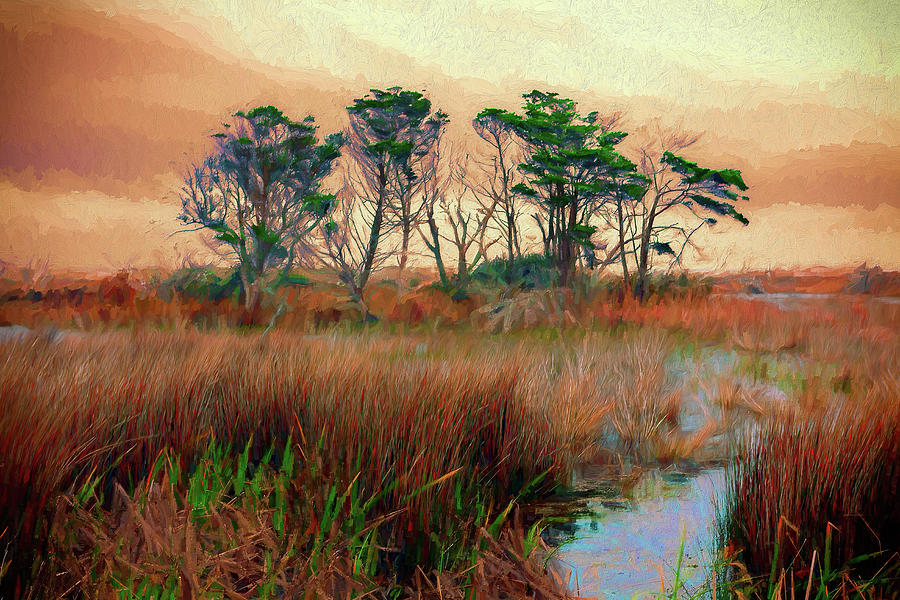 Outer Banks Marsh AP Painting by Dan Carmichael