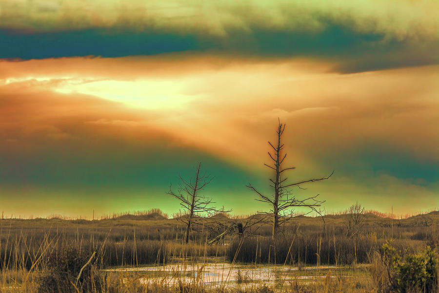 Outer Banks Marsh Trees and Roll Cloud Photograph by Dan Carmichael