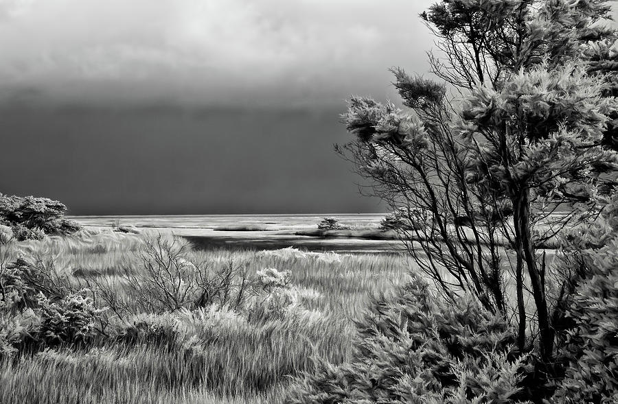 Outer Banks Ocean View BW Photograph by Dan Carmichael