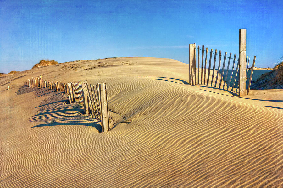 Outer Banks Sand Dune Fence Photograph by Dan Carmichael