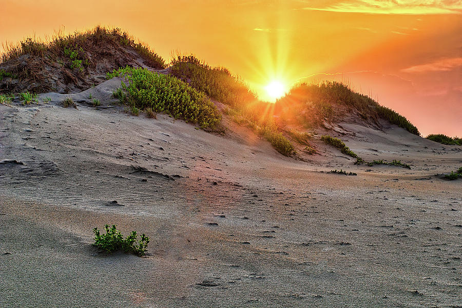Outer Banks Sunrise Over The Dunes Photograph By Dan Carmichael Pixels