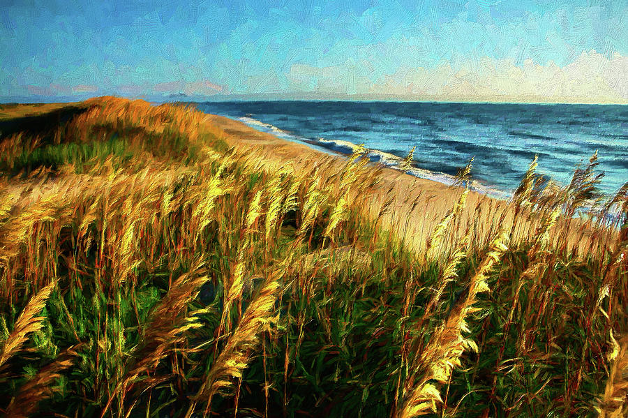 Outer Banks View AP by Dan Carmichael Outer Banks View AP by Dan Carmichael
