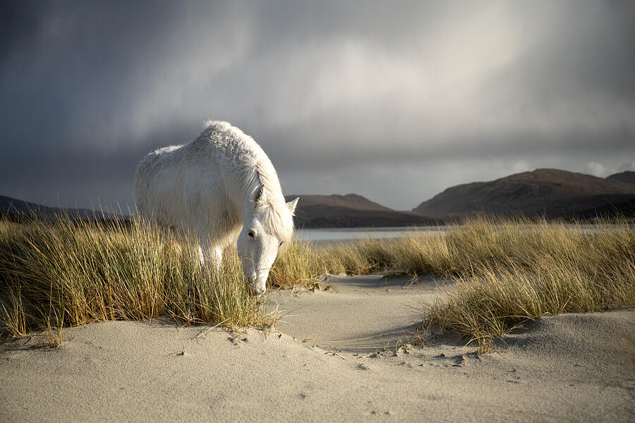 Outer Hebrides, No Ai Photograph by Ulrike Eisenmann