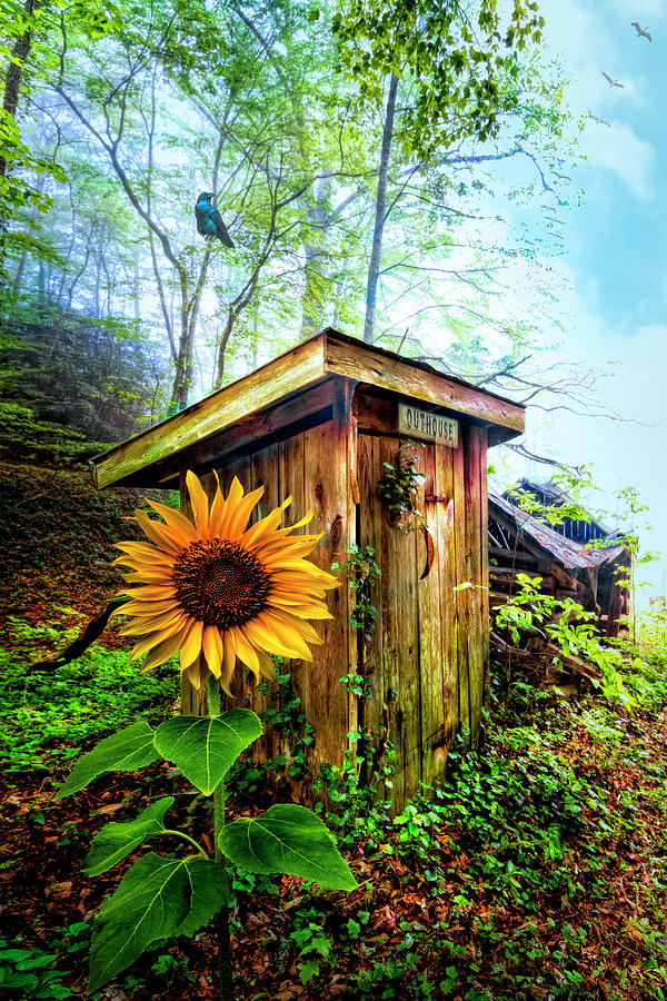 Outhouse Photograph by Debra and Dave Vanderlaan