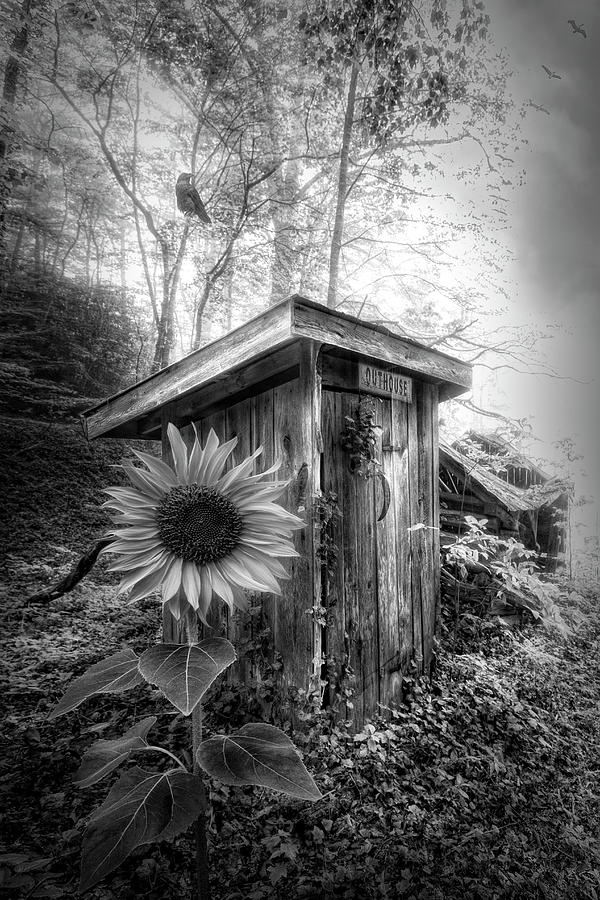 Outhouse in Black and White Photograph by Debra and Dave Vanderlaan