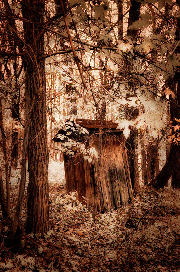 Outhouse in the woods Photograph by Paul W Faust - Impressions of Light