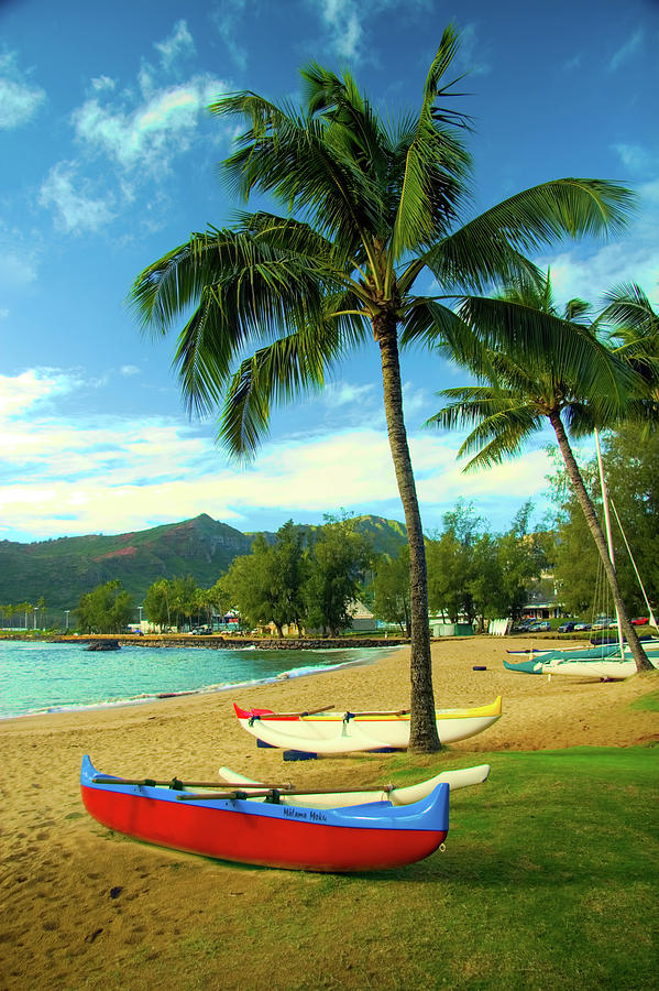 Outrigger Canoes at Beach Photograph by David Smith