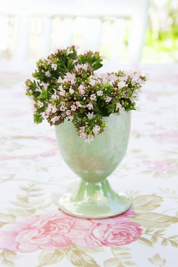 Outside -- Oregano Flowers In An Egg Cup On A Rose Patterned Tablecloth Photograph by Sabine Lscher