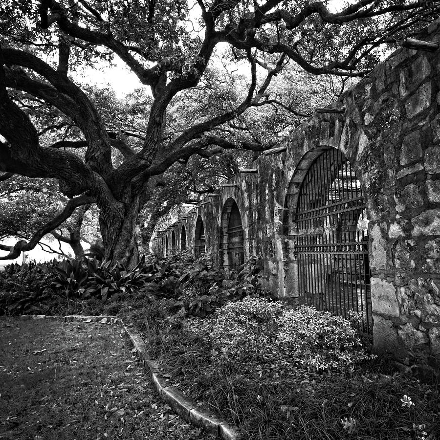 Outside the Alamo Photograph by George Taylor