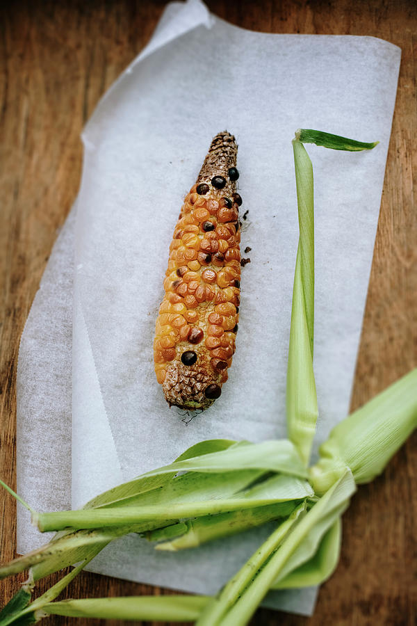 Oven Baked Corn Cob Photograph by Giedre Barauskiene