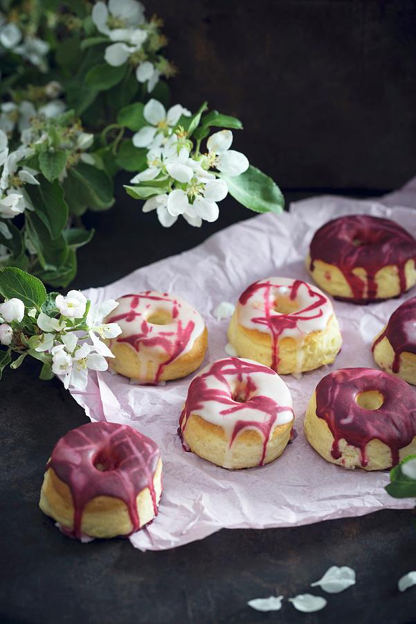 Oven Baked Doughnuts With Two Different Fruit Glazes vegan Photograph by Kati Neudert