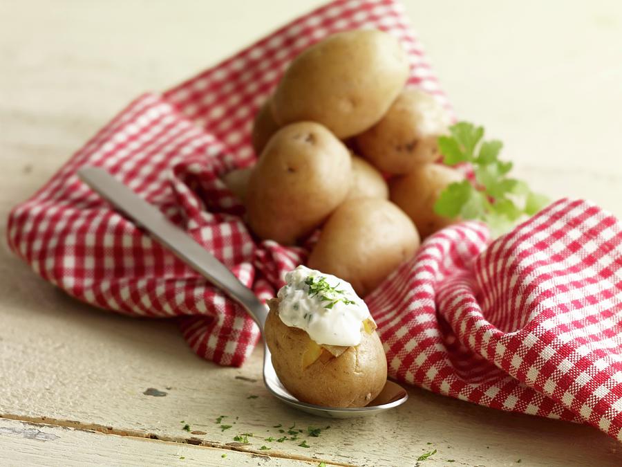 Oven-baked Potatoes With Herb Dip Photograph by Studio R. Schmitz