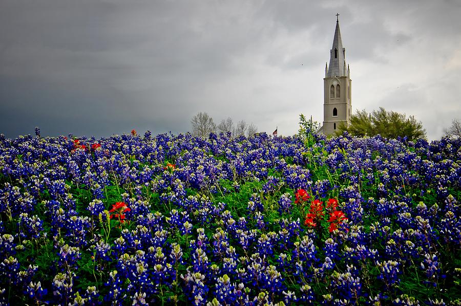 Over Bluebonnet Hill Photograph by Linda Unger
