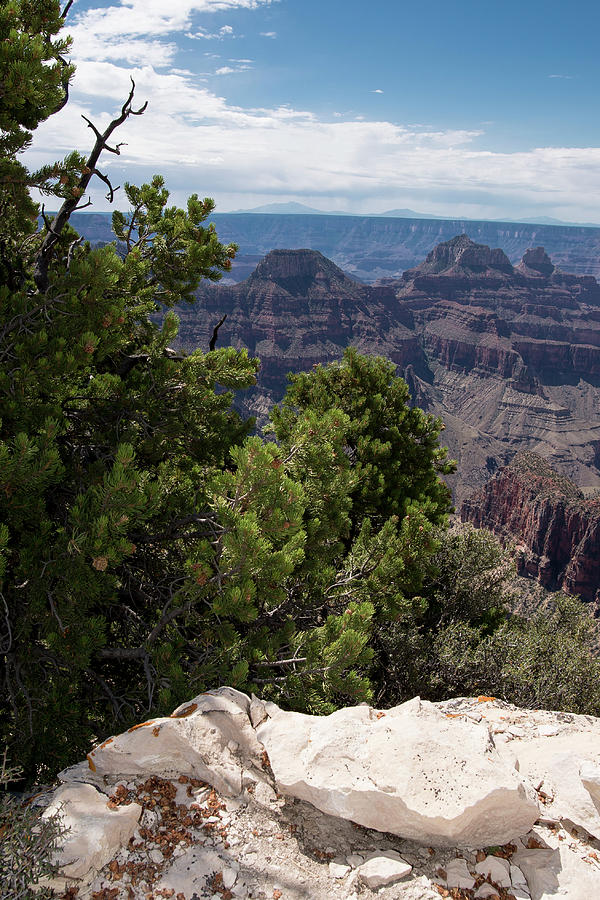 Over The Edge by Michael Monahan Over The Edge by Michael Monahan