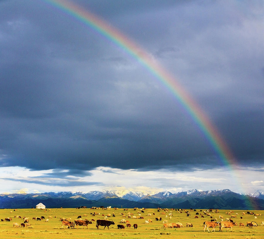 Over The Rainbow Photograph by Feng Wei Photography