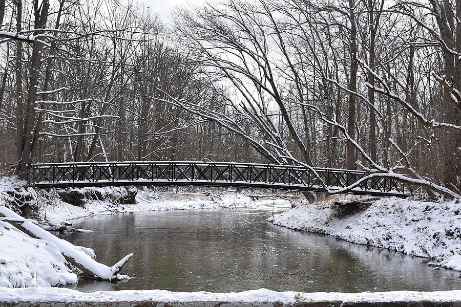 Winter Photograph - Over the River and Through the Woods by Teri Arthur