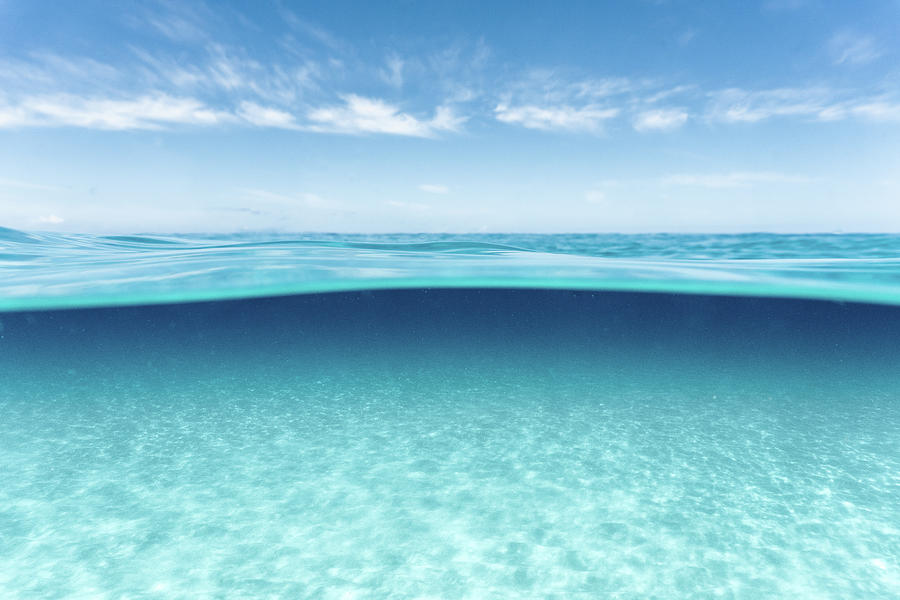 Overunder Image Of Surface And Clear Water In Hawaii Photograph by