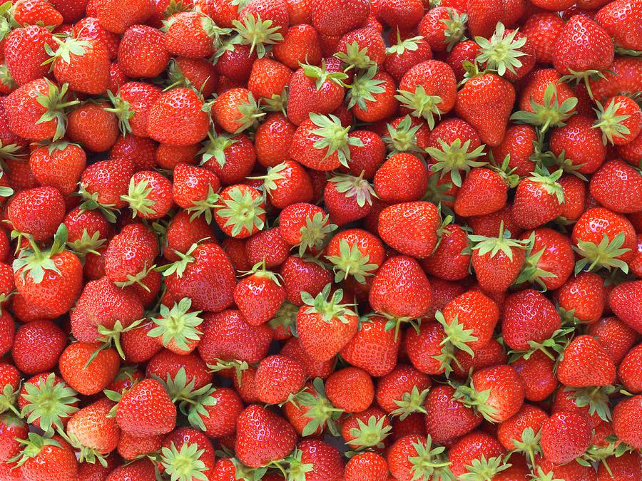 Overall Of Strawberries Photograph by Ulrike Koeb