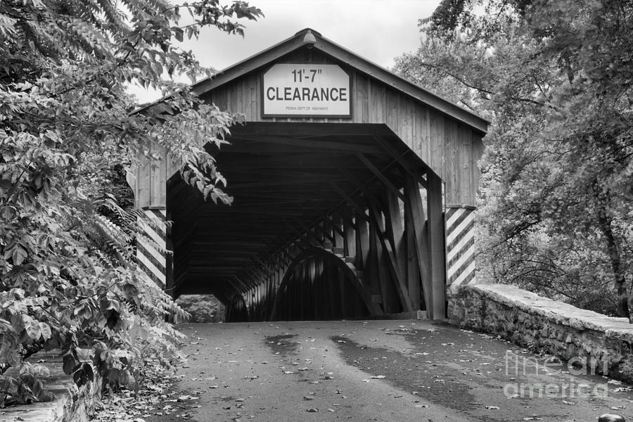 Overegrown At The Academia Covered Bridge Photograph by Adam Jewell