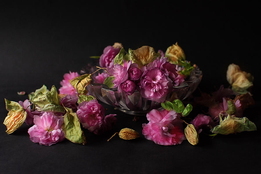 Flower Photograph - Overflowing by Ludmila Shumilova