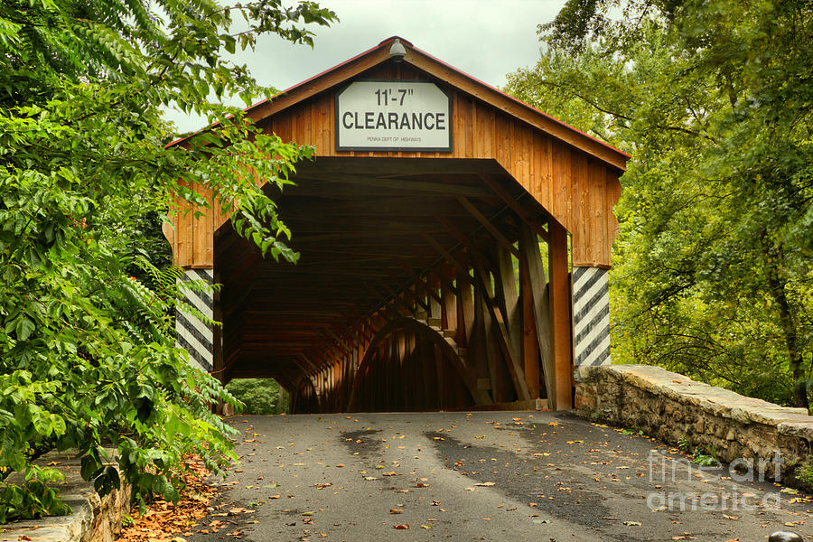 Overgrown At The Academia Covered Bridge Photograph by Adam Jewell