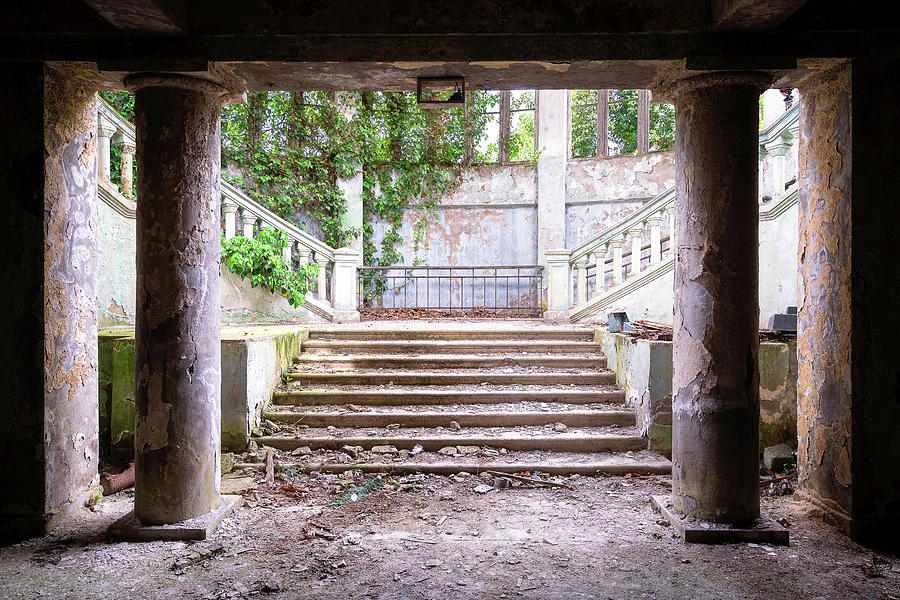 Overgrown Dark Staircase Photograph by Roman Robroek